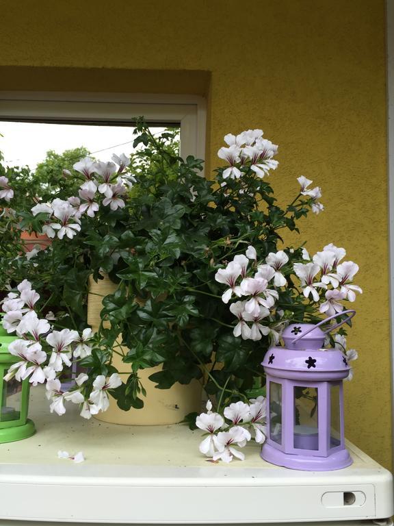 Casa Belazur Hotel Дева Екстериор снимка